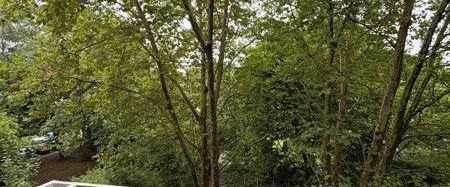 Zuhause im Herzen von Katernberg – frisch renovierte 2-Zimmer-Wohnung - Photo 1