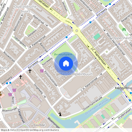 Professorenbuurt, 9714 BV, Bernoulliplein, Groningen