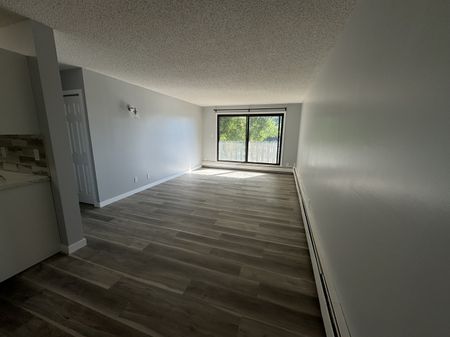 RENOVATED 1-Bedroom Apartment - SMALL PET FRIENDLY! - Photo 5