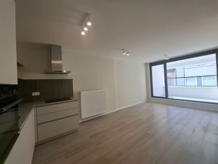 Gerenoveerd appartement | Antwerpen-Centrum - Foto 3