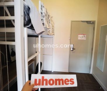 Single Lofts-Single Loft Large - Photo 1