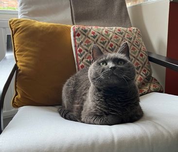 Room in a Shared House, Warrels Mount, LS13 - Photo 5