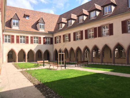 Location Appartement 1 pièce 35m² SELESTAT 67600 - Photo 5