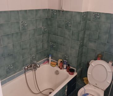 Location Appartement 1 pièce 19m² NICE 06100 - Photo 3