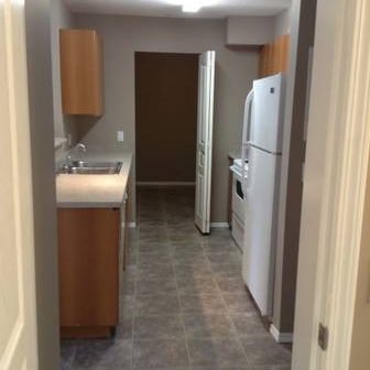 2 bed/1bath - Spacious & Bright - Photo 4