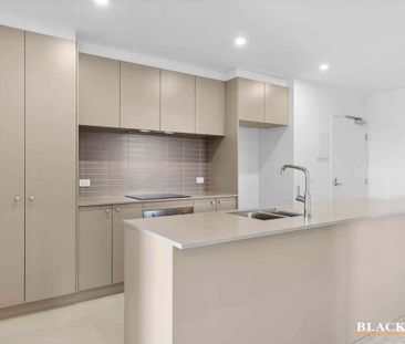Modern Two Bedroom Apartment - Photo 4