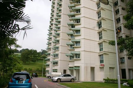 Blk 393 Goodview Gardens (Bukit Batok), HDB 4 Rooms - For Rent - Photo 5