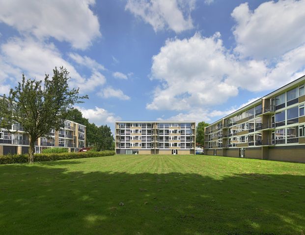 Epelenberg, 297 - Foto 1