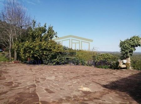 Benafátima, Silves, Faro - Photo 2