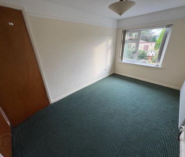 4 St. Patricks Circle, Saul, Downpatrick, BT30 7JF - Photo 4