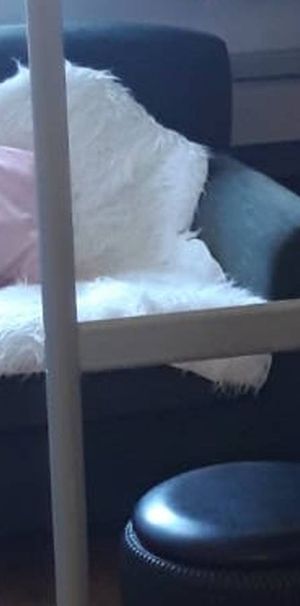 Fort Pullenstein - Foto 1