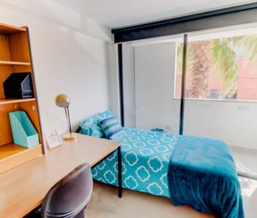 Standard Studio - Photo 1