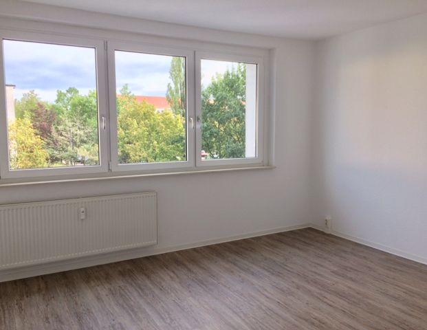 *Mitten in der City & am Großen Garten* - Photo 1