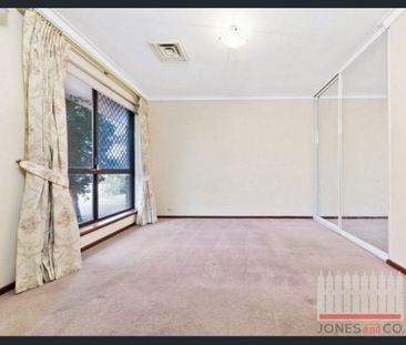 A Comfortable Corner - Photo 5