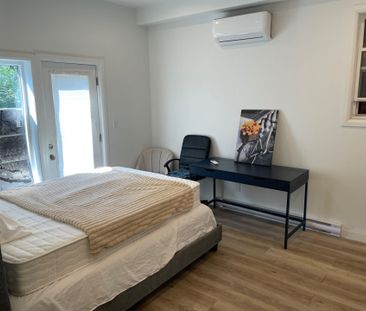 For Lease - 66 Wellington Street Unit# 102, Hamilton, Ontario - Photo 4