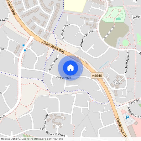 Camellia Drive, Priorslee, Telford, TF2