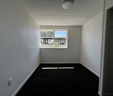 11 Bronwyn St, Mairehau - Photo 1