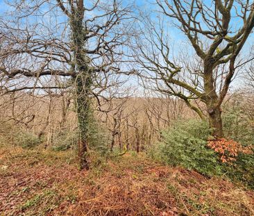 3 bedroom detached house to rent - Photo 1