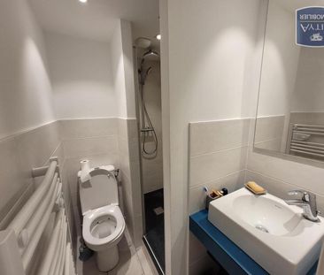 Location Appartement 1 pièce 17m² ANGERS 49000 - Photo 4