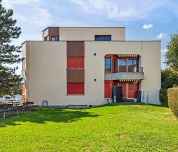appartement de 2,5 pces à louer dans quartier très ensoleillé - Photo 5