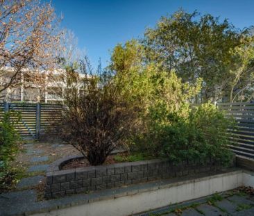 Tri- Level Three Bedroom Townhouse - Photo 5