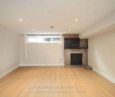 Basement 173 Cottonwood Drive - Photo 2