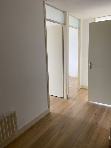 Hermelijnvlinder 49, Vlindertuin, 1113LC, Diemen - Photo 4