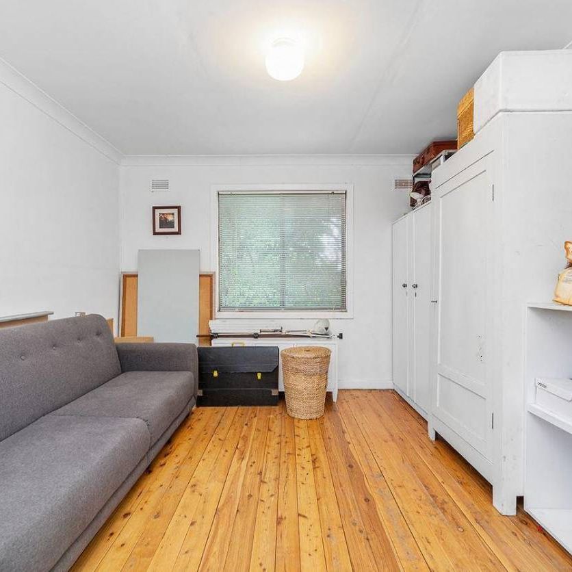 CBD House! - Photo 1