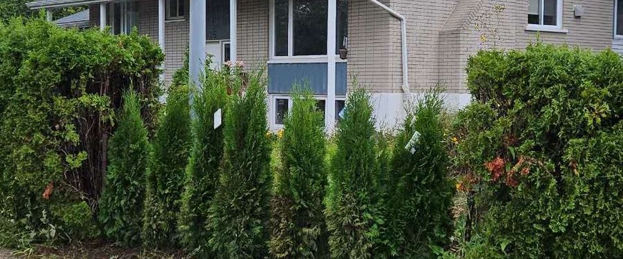 À louer / Maison de plain-pied - Photo 1