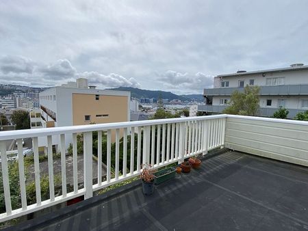 Sunny 4 bedroom apartment in Mt Vic - Photo 4