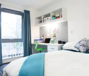 Premium Ensuite - Photo 4