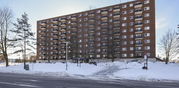 504 - 50 Rue Cormier, Gatineau - Photo 2