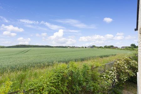 2 bedroom semi-detached house to rent - Photo 4