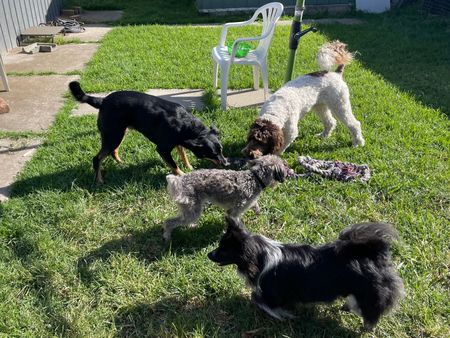 West Footscray - Photo 4