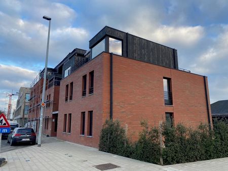 't Hoge 11 - Photo 4