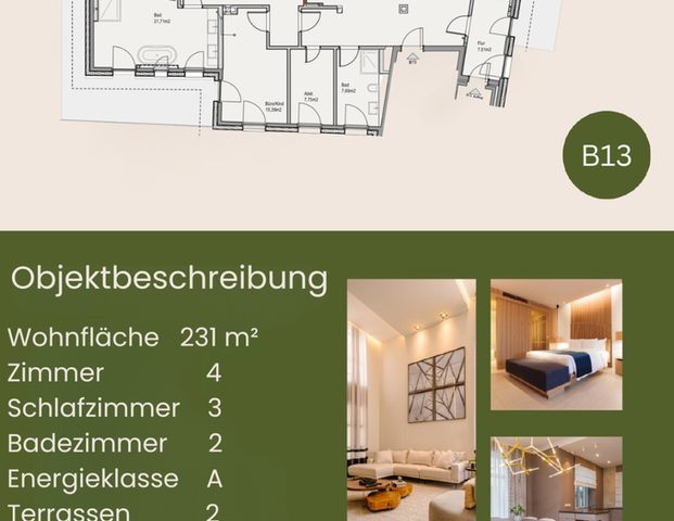 Exklusive Neubau 4 Zimmer Wohnung in Dambach - Photo 1