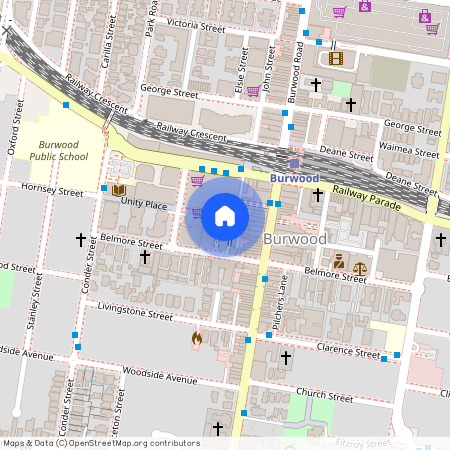 B1008/29 Belmore St, NSW 2134, Burwood