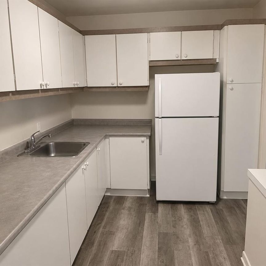 545 Rue De Pointe Gatineau (Gatineau ) Logement 3 ½ Disponible - Photo 1