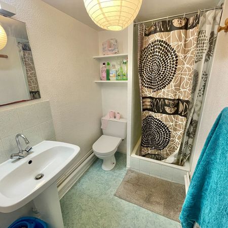 Location Appartement 1 pièce 18m² - Photo 4