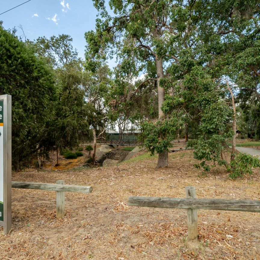 Green Oasis with Modern Comforts - Photo 1