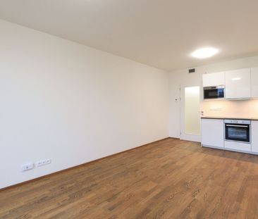 Pronájem bytu 1+kk • 35 m²Smržových, Praha - Vysočany - Photo 4