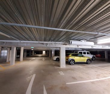 Library Lane Cutie - Photo 6