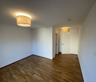 Traumwohnung mit Rheinblick - Foto 1