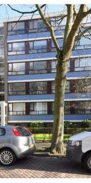 Landréstraat 2551 's-Gravenhage - Foto 1