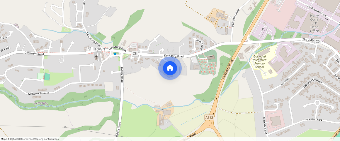 9 Chestnut Hill, BT28 3PA, Derriaghy