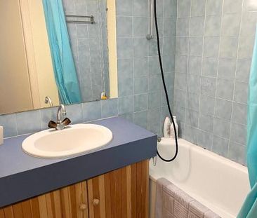 Location Appartement 1 pièce 17m² NIORT 79000 - Photo 6