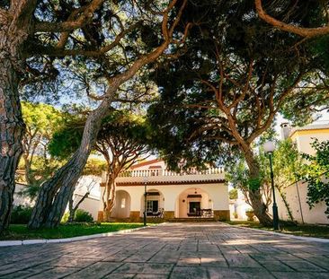 Alquiler de casa o chalet independiente en Carretera de la Barrosa,... - Photo 2