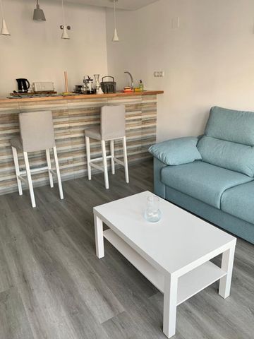 Middle Floor Studio in El Paraiso - Photo 4