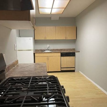 2 Bedroom & A Den basement Suite - Photo 1