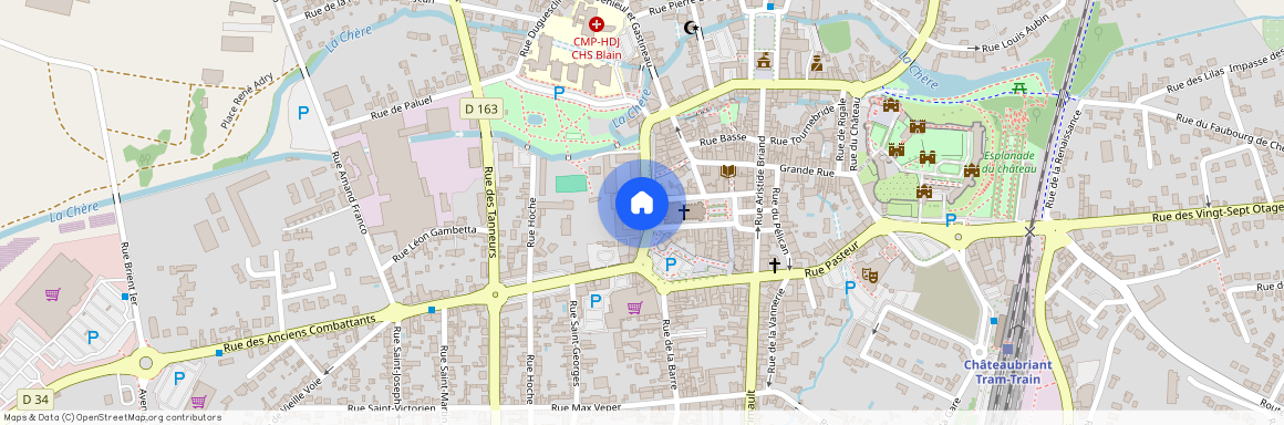 CHATEAUBRIANT (44110)